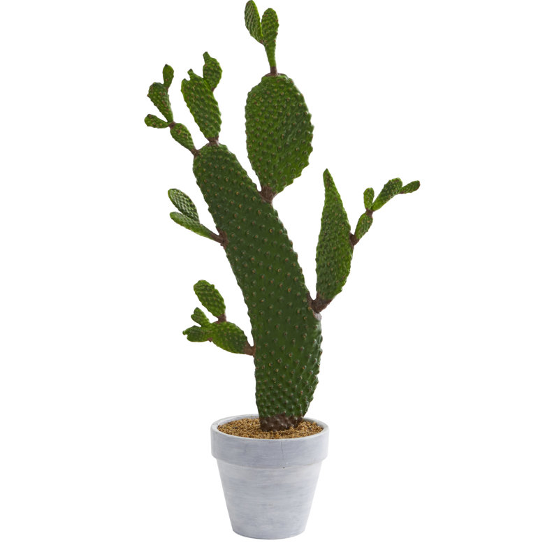 Bungalow Rose Artificial Cactus Plant in Pot Wayfair